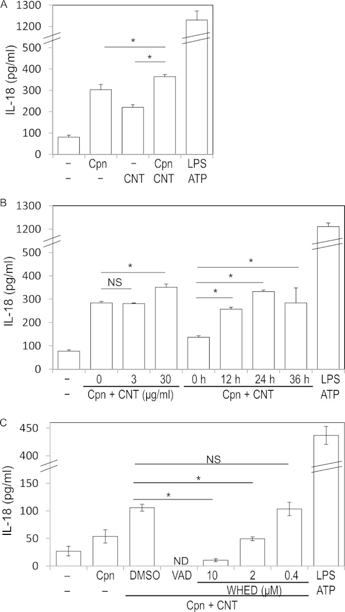 FIG 6