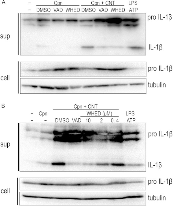 FIG 5