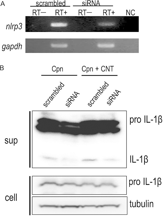 FIG 7