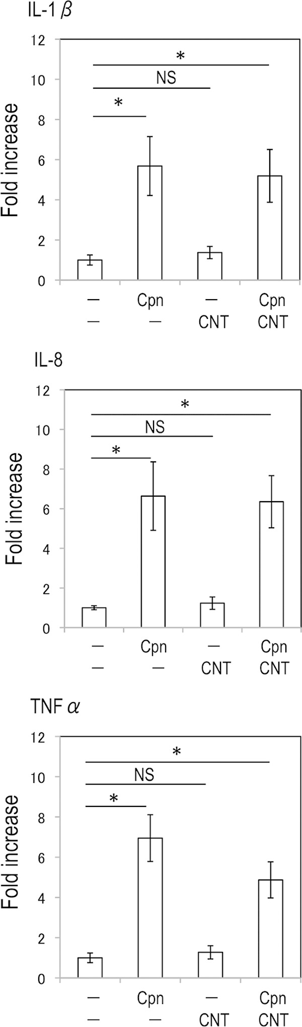 FIG 2