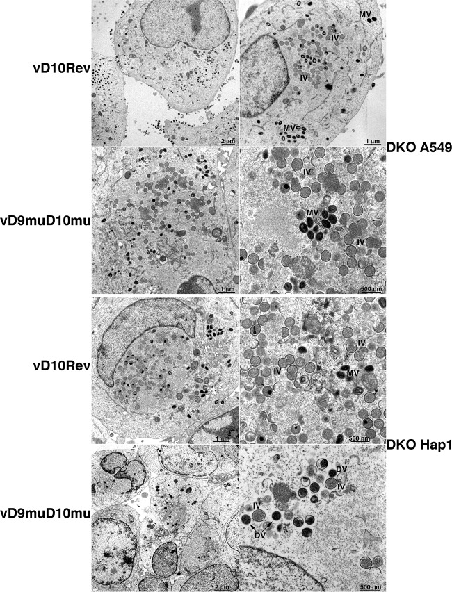 FIG 3