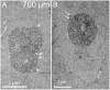 Fig 15