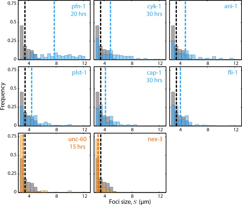 Figure 4—figure supplement 1.