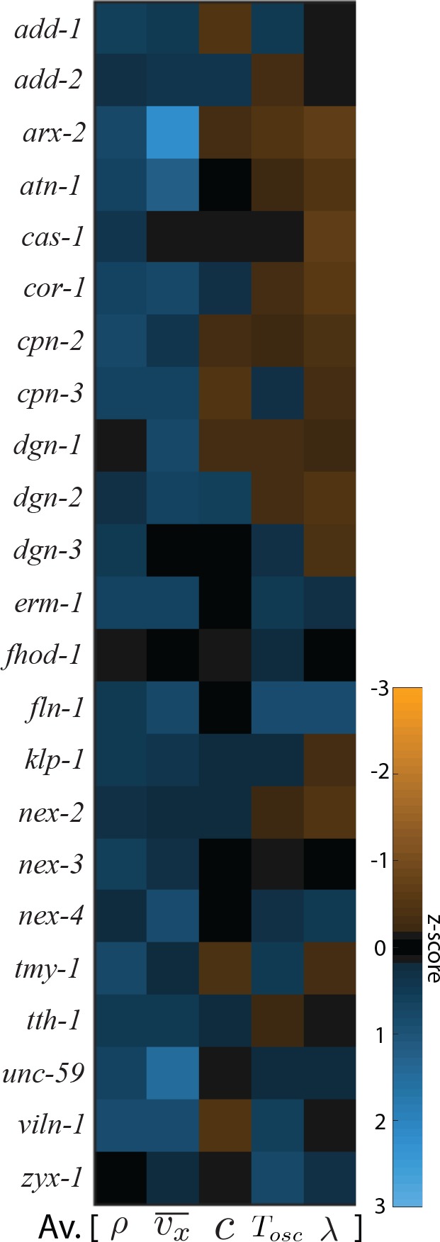 Figure 7—figure supplement 1.