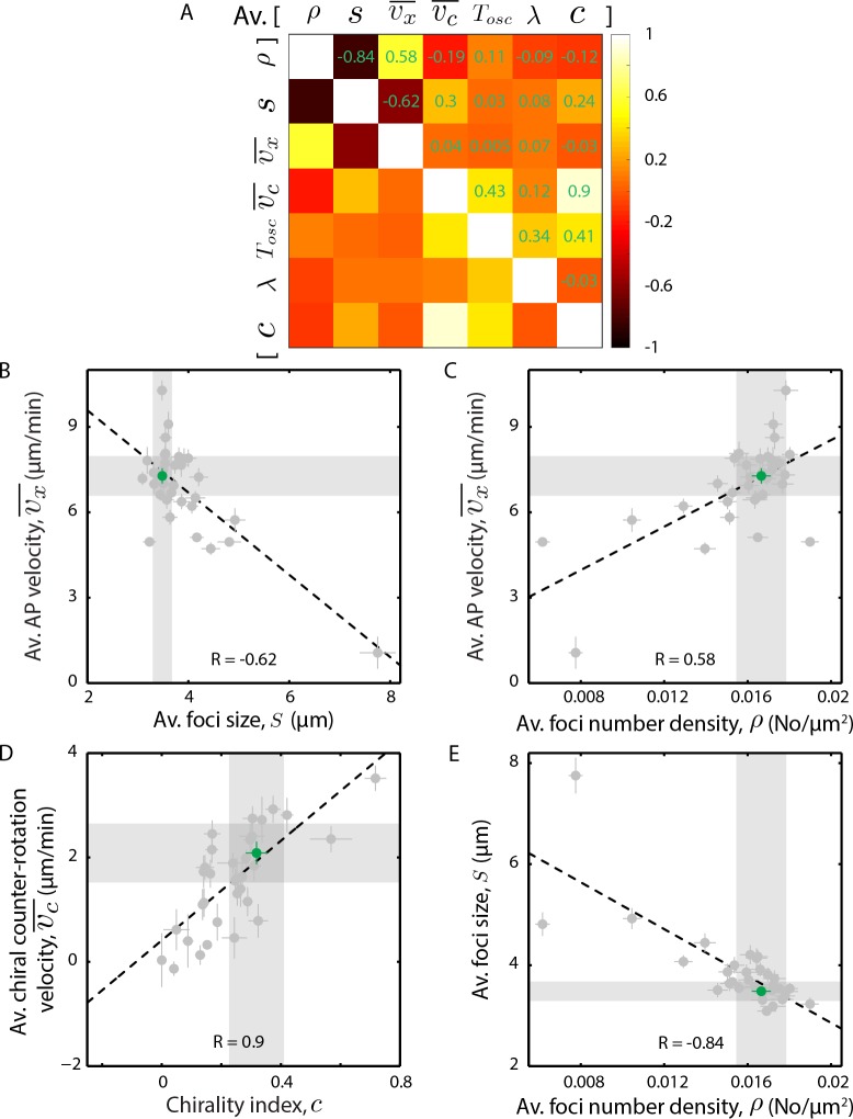 Figure 7—figure supplement 2.