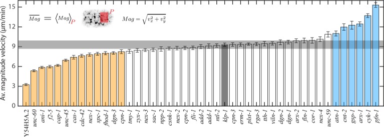 Figure 2—figure supplement 3.