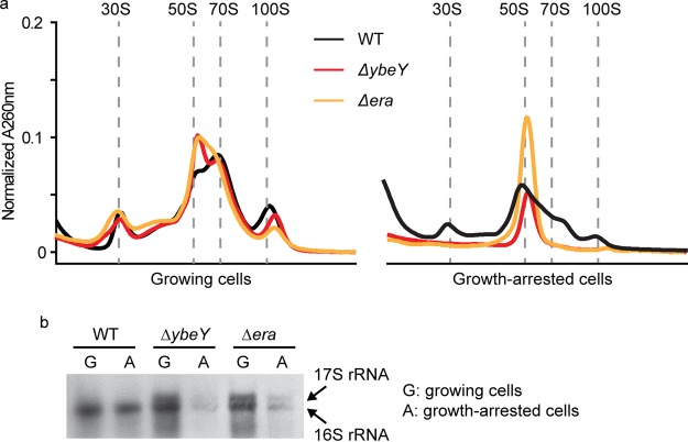 FIG 6
