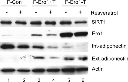 FIG. 9.