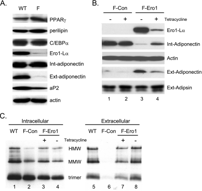 FIG. 8.