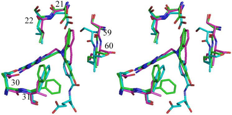 Fig. 8