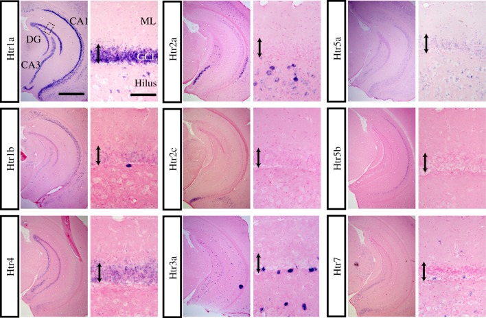 Figure 1.