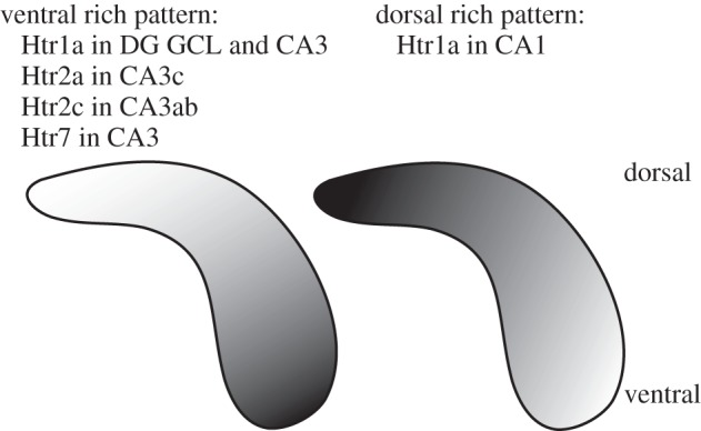 Figure 5.