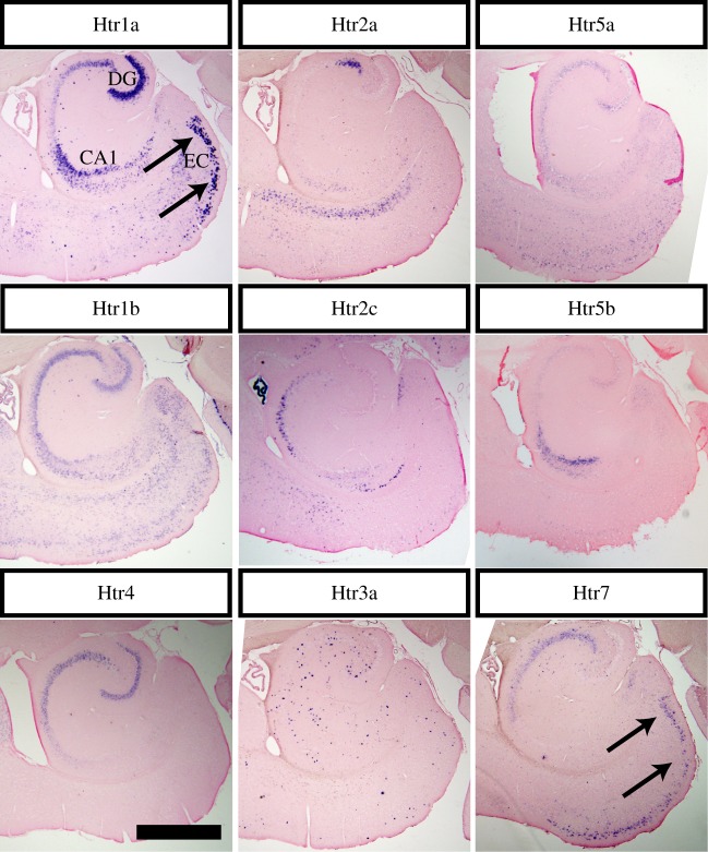 Figure 4.