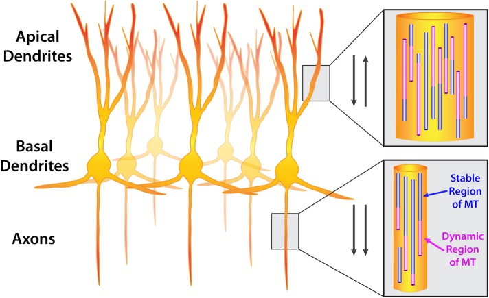 FIGURE 1: