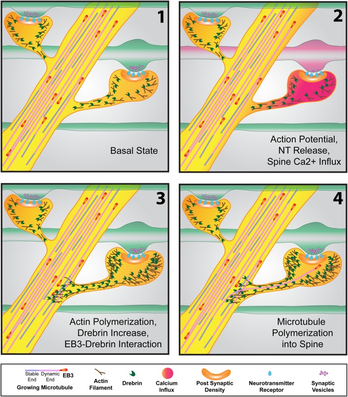 FIGURE 3: