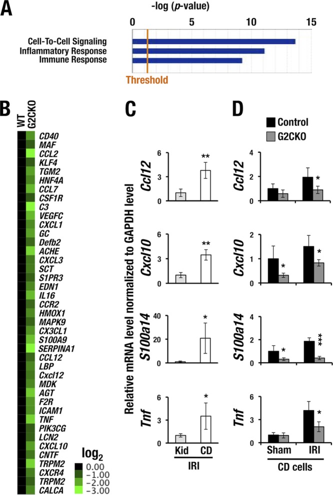 FIG 2