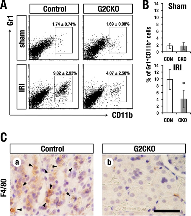 FIG 3