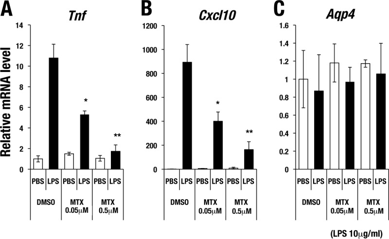 FIG 6