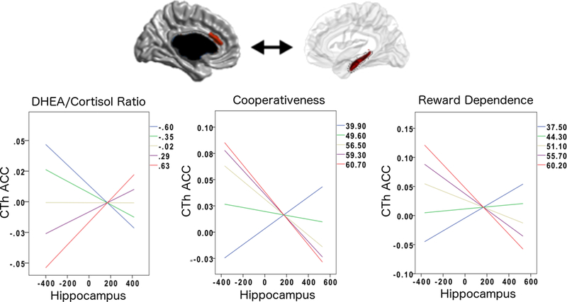 FIGURE 2: