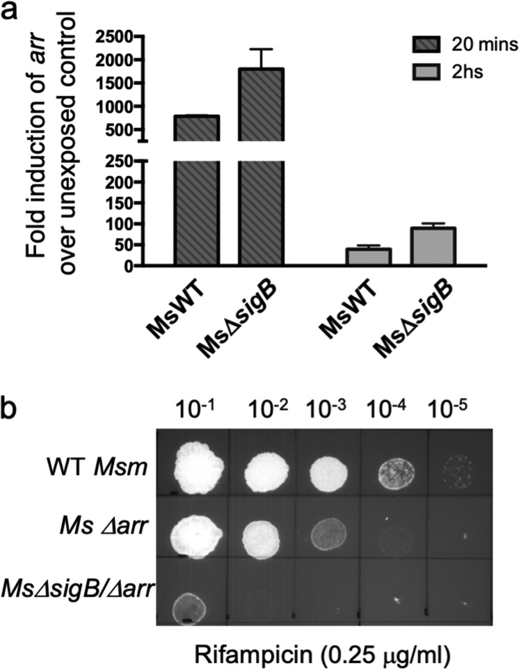 FIG 2