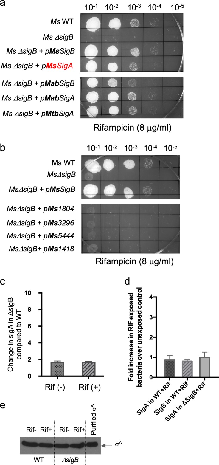 FIG 6