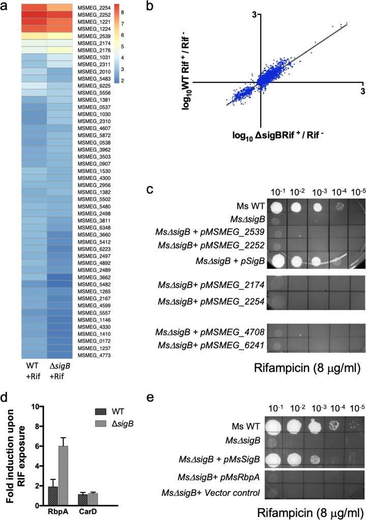 FIG 3