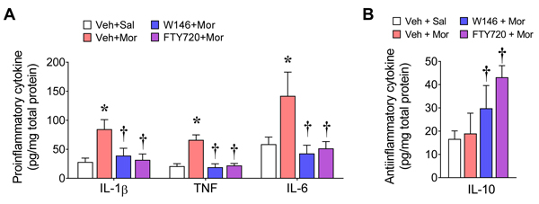 Fig. 11.