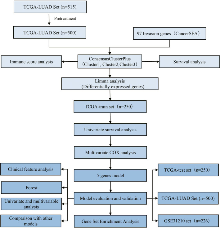 FIGURE 1