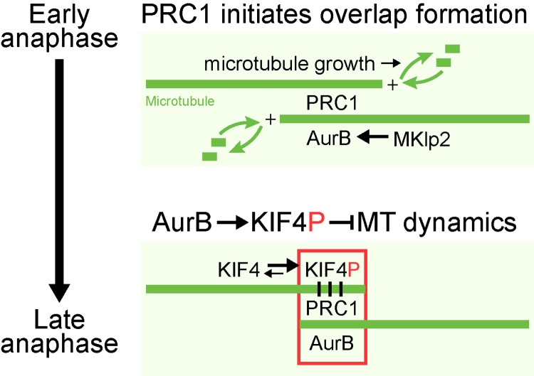 Figure 10.