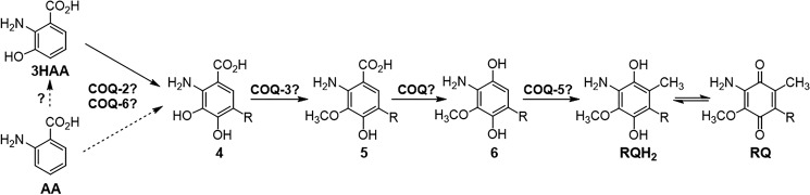 Figure 5.