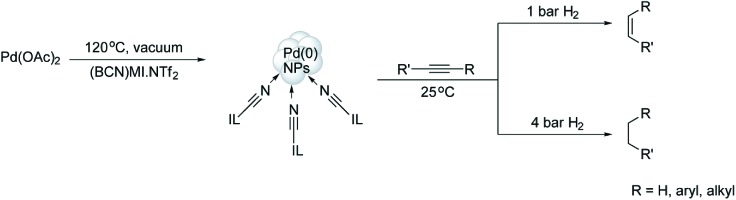 Scheme 20