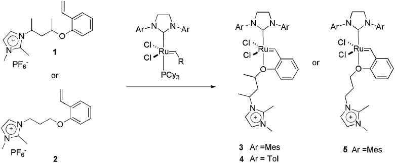 Scheme 2