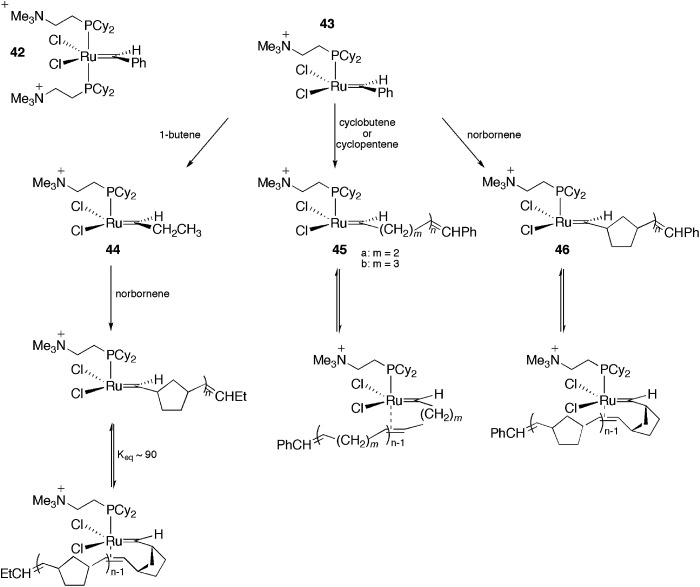 Scheme 21