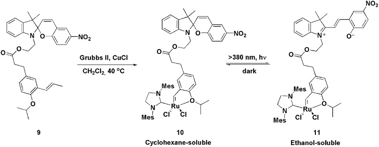 Scheme 3