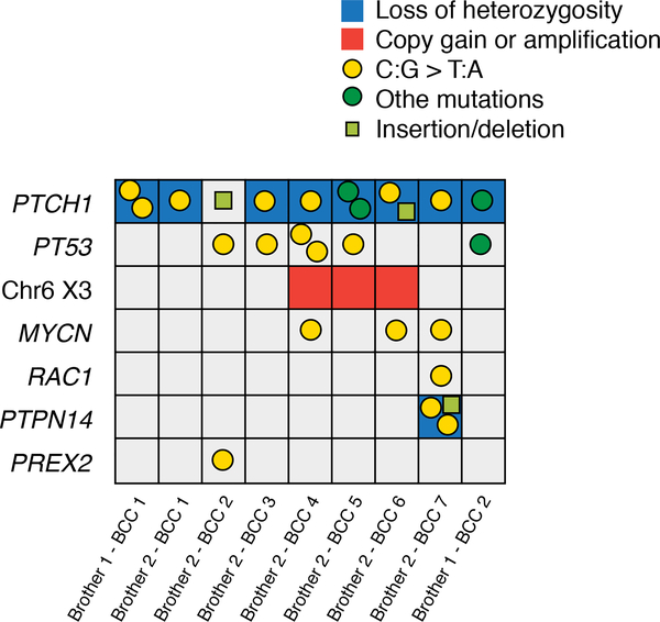 Figure 3: