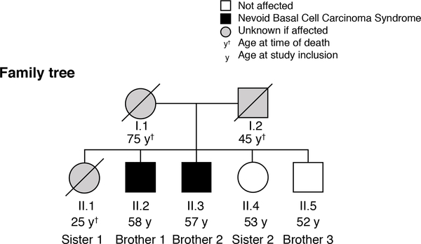 Figure 1: