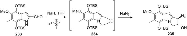 Scheme 65