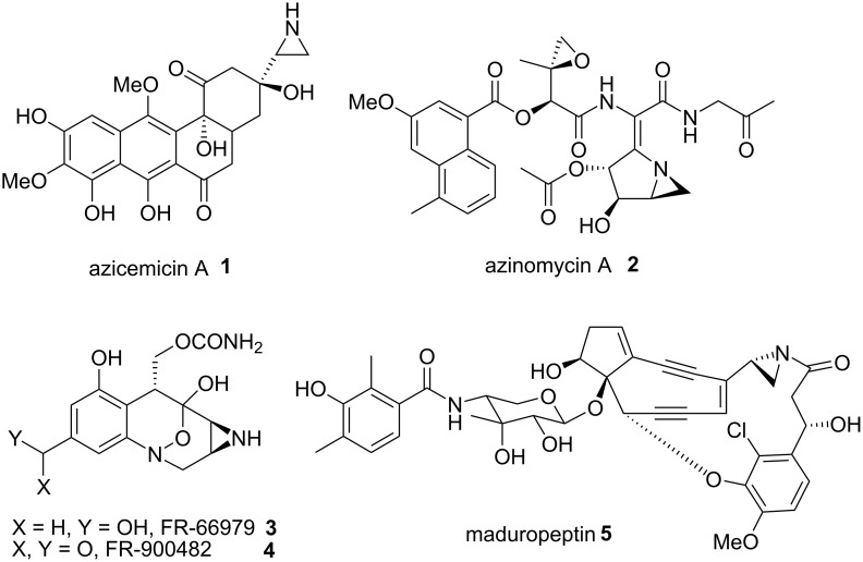 Scheme 1