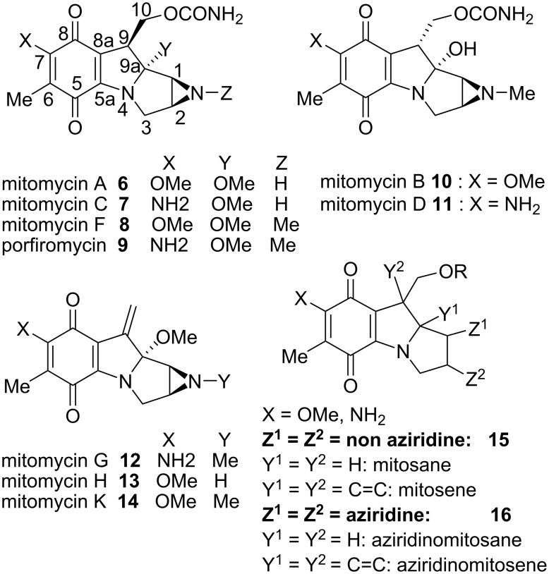 Scheme 2