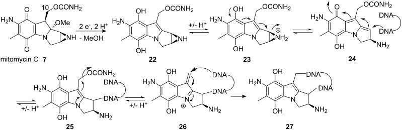 Scheme 5