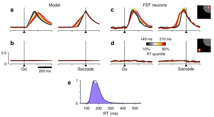 Figure 7—figure supplement 3.