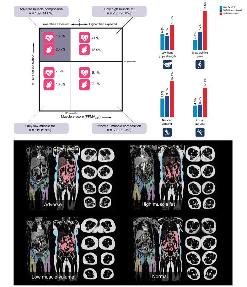 Fig. 3