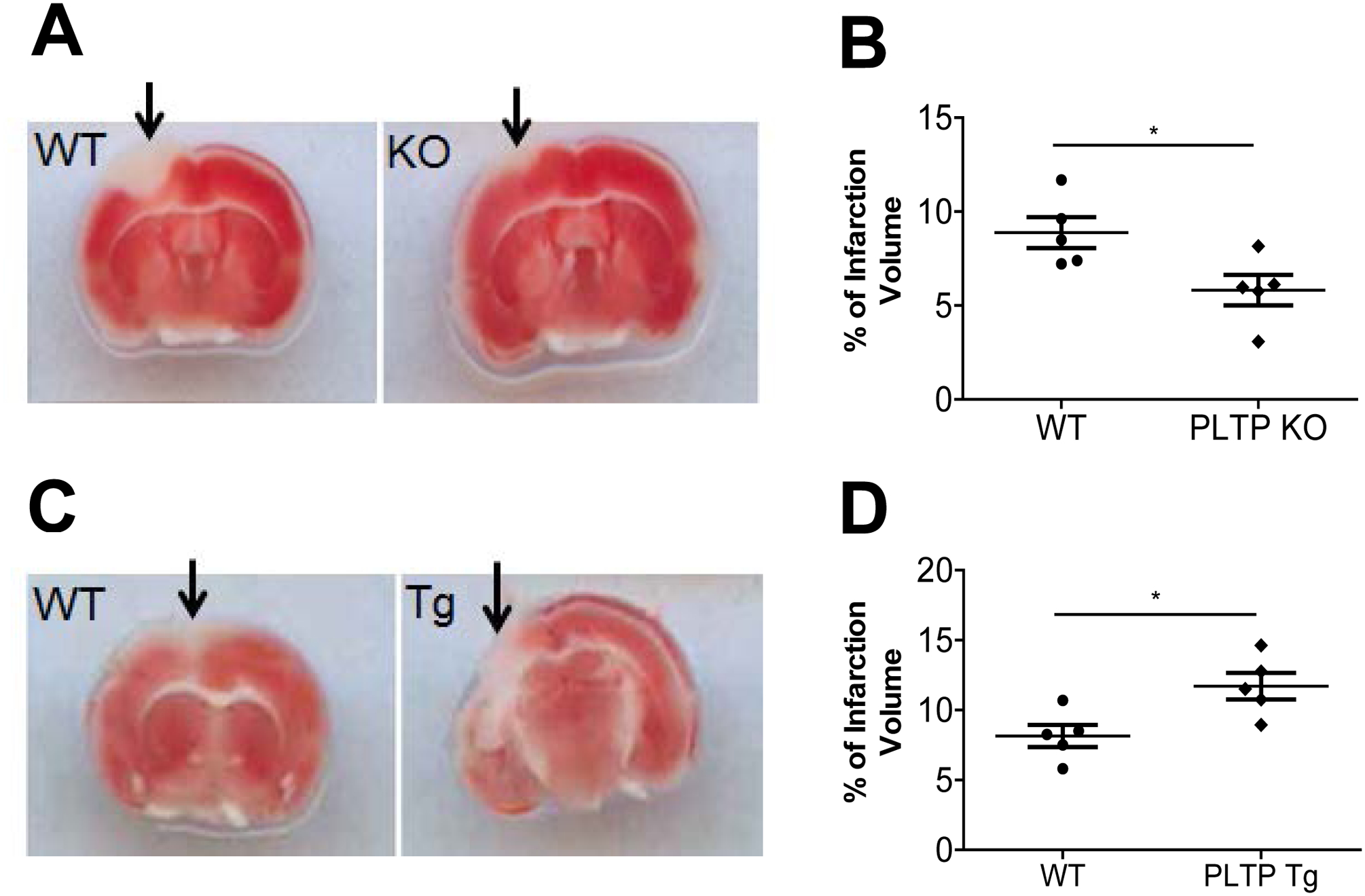 Figure 6.