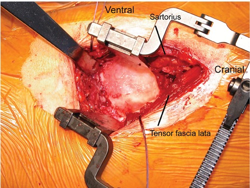 Figure 2.