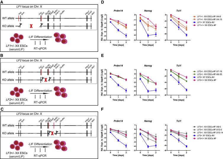 Figure 6