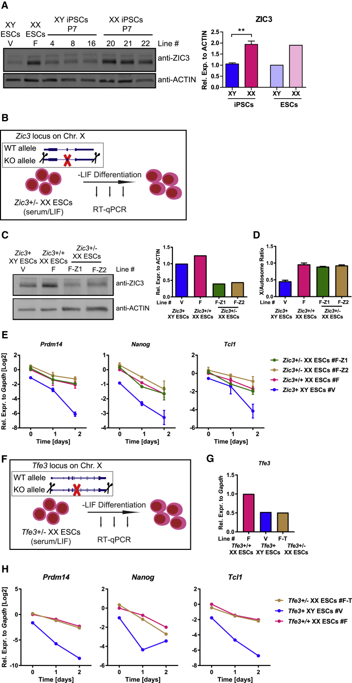 Figure 4