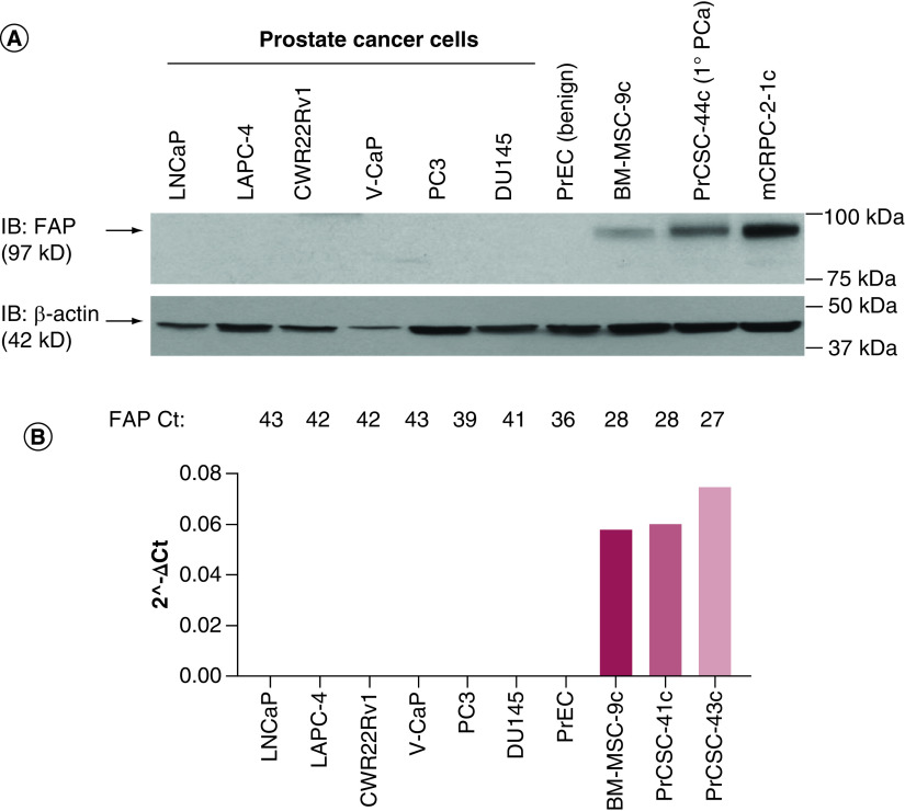 Figure 1. 