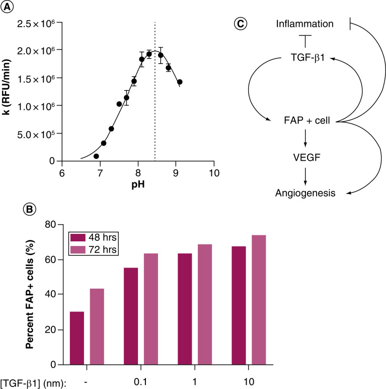 Figure 3. 