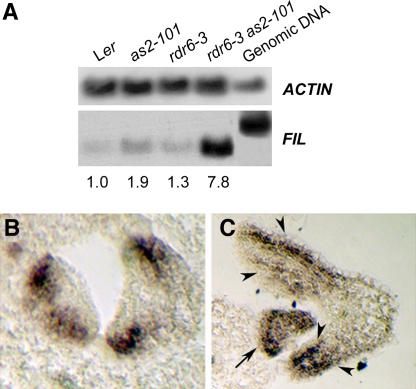 Figure 9.