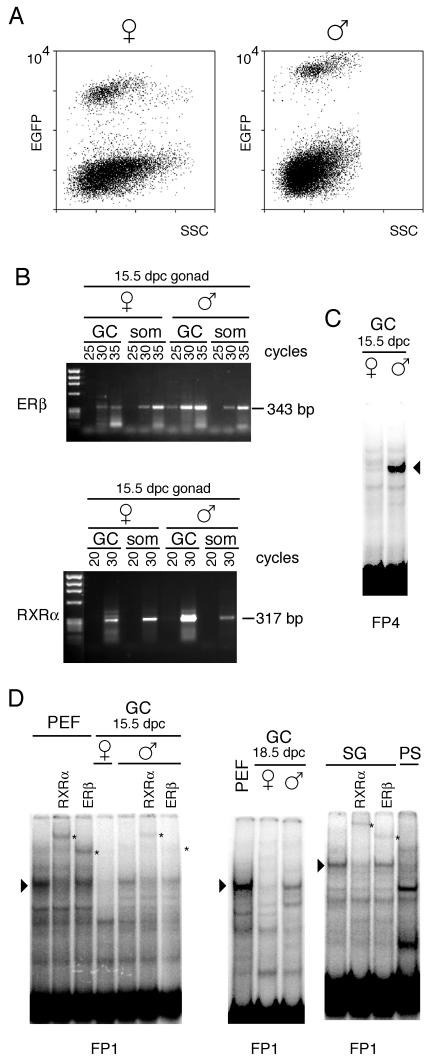 FIG. 7.